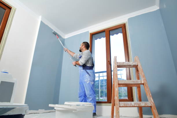 Best Mold Odor Removal Services  in Cobden, IL