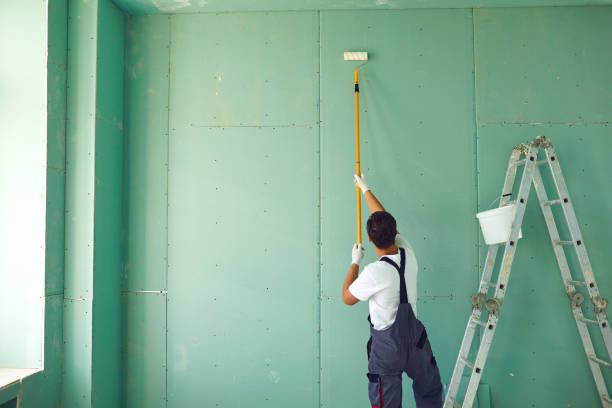 Best Mold Odor Removal Services  in Cobden, IL