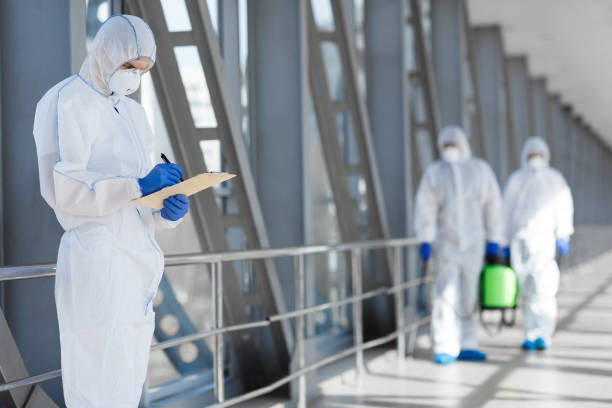 Best Emergency Mold Remediation  in Cobden, IL