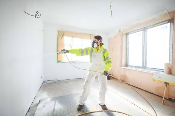 Best Basement Mold Removal  in Cobden, IL