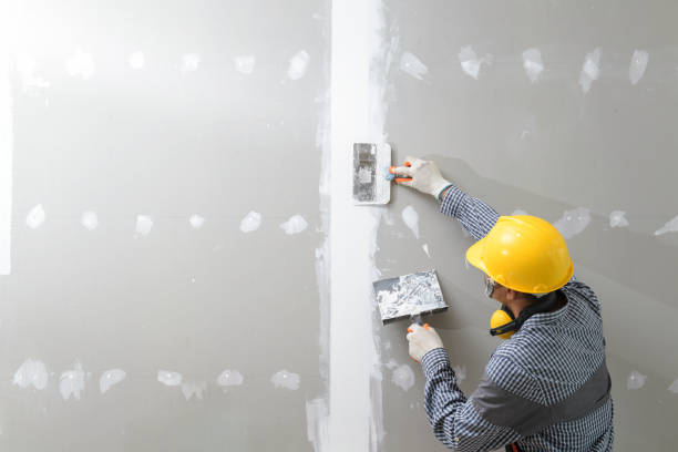 Best Post-Remediation Verification Testing  in Cobden, IL