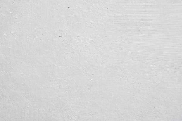 Best Black Mold Removal  in Cobden, IL