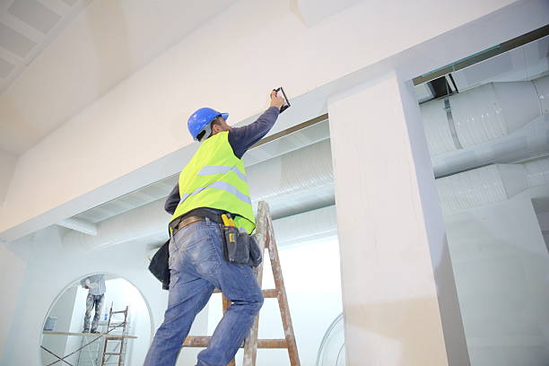 Cobden, IL Mold Removal Company