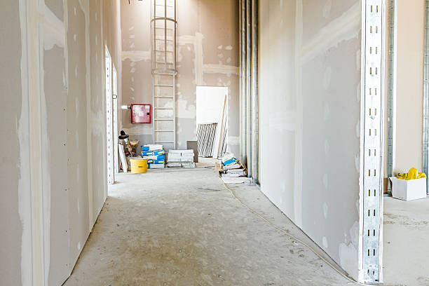 Best Water Damage & Mold Remediation  in Cobden, IL