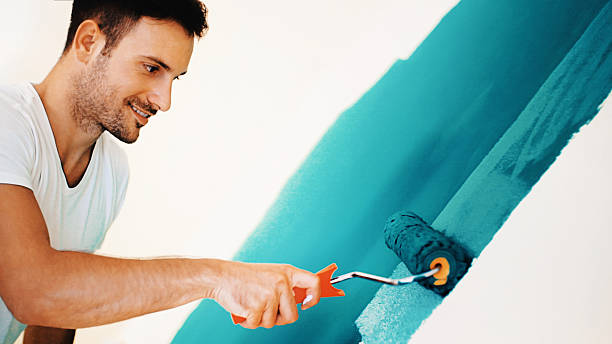 Best Attic Mold Removal  in Cobden, IL