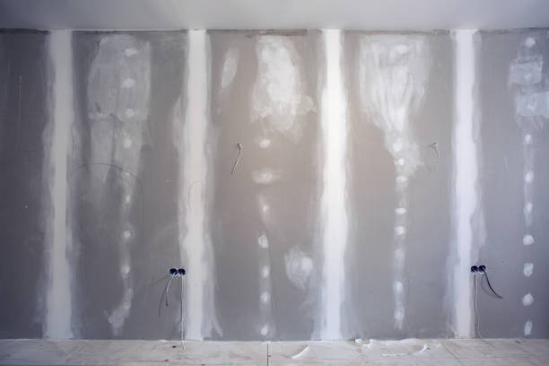 Best Basement Mold Removal  in Cobden, IL